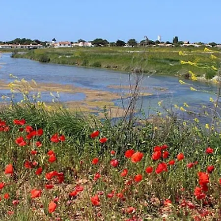 Del Re 1 Dans Avec Piscine Nyaraló La Flotte